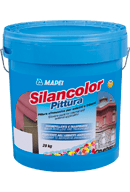 Silancolor Paint - 1