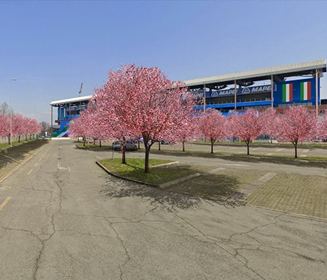 Mapei Stadium si colora di rosa: 170 ciliegi trasformano il parcheggio in un giardino