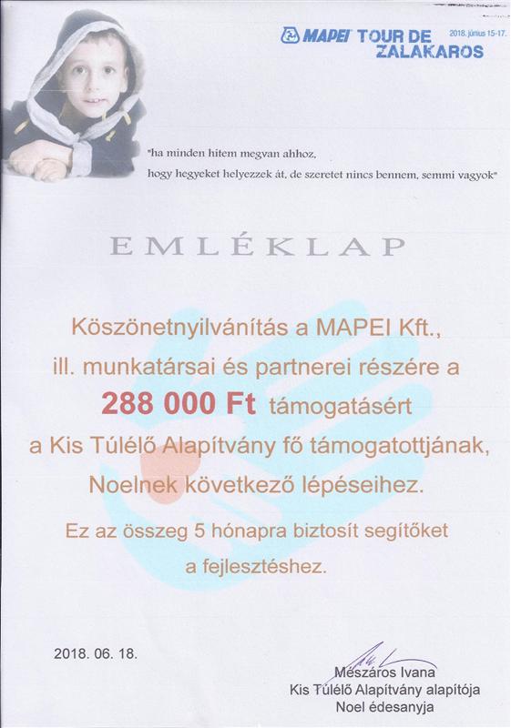 Mapei - Emleklap_2