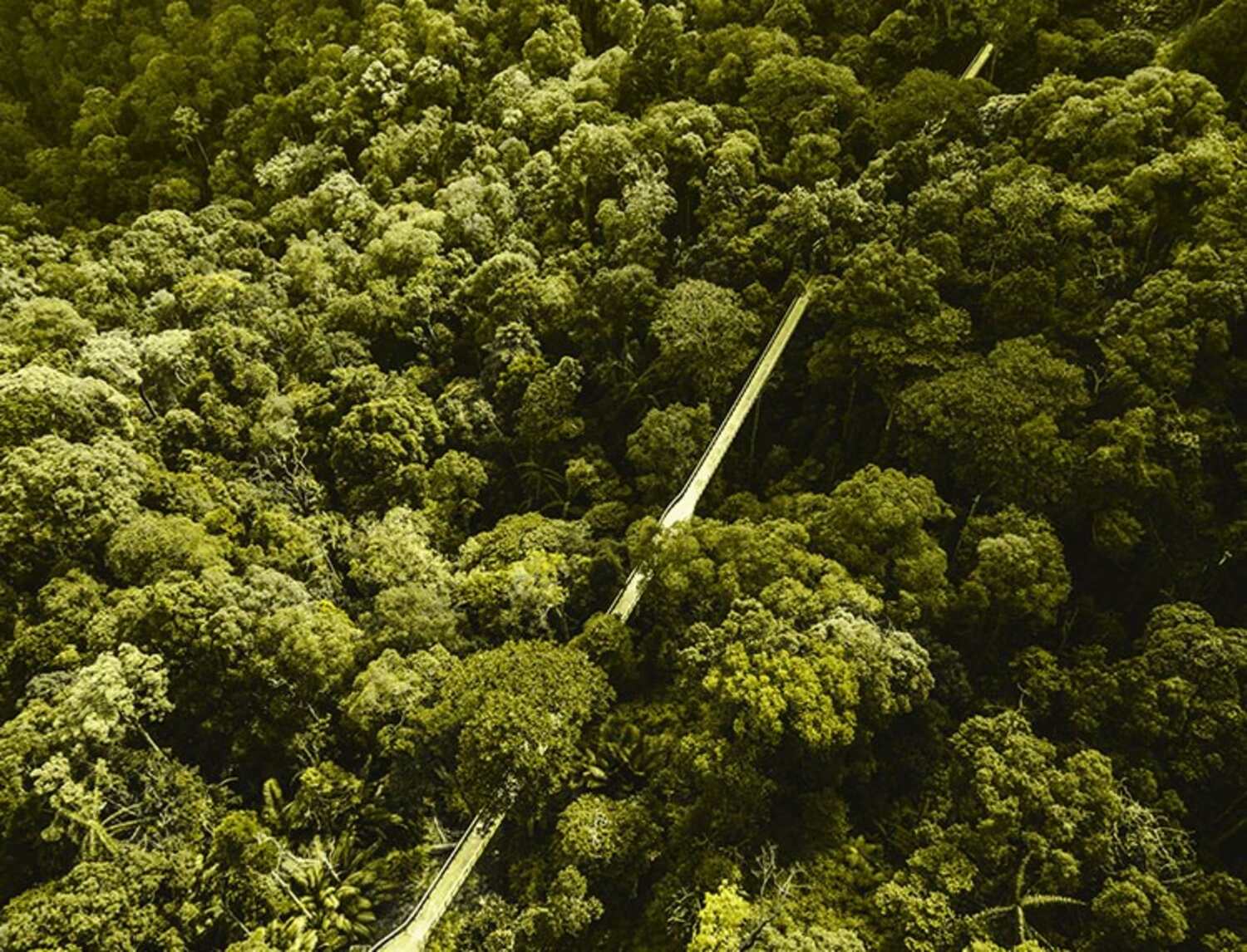 Produk Berkelanjutan: Kontribusi Mapei dalam Pelestarian Lingkungan di Indonesia