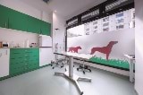 One of the areas inside the Bärenwiese Veterinary Care - Berlin - Germany