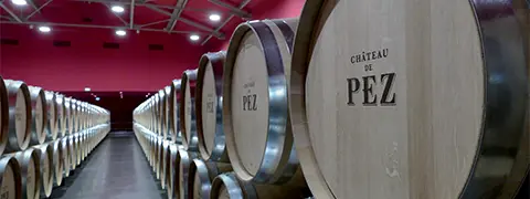 The “cathedrals” of wine